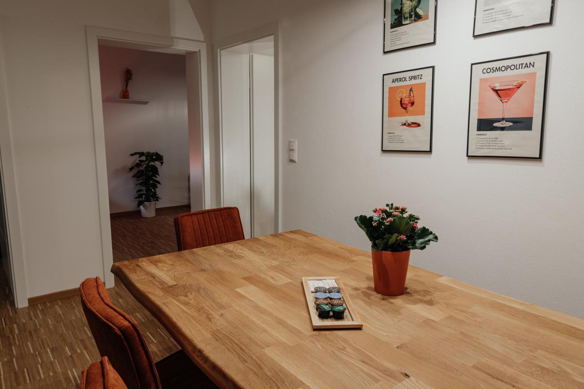 Passaus Motto Appartements! Solo - Paerchen - Familien - Gruppen Habitación foto